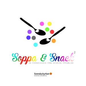 Soppa & Snack - Gudrun Schyman