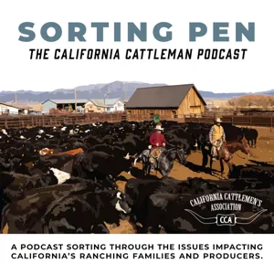 Episode 9: Sorting through cattle markets, price discovery, etc., w/ Dr. Derrell Peel