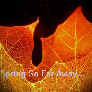 Summer Feelin' - Spring So Far Away