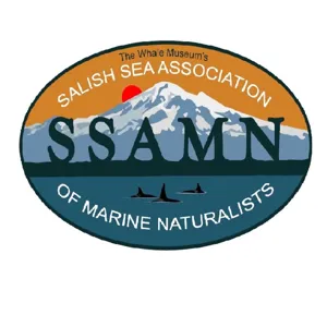 U R What U Eat: Seasonal Variation in Fat Content Of Fraser River Chinook Salmon And Implications For SRKW Prey Quality