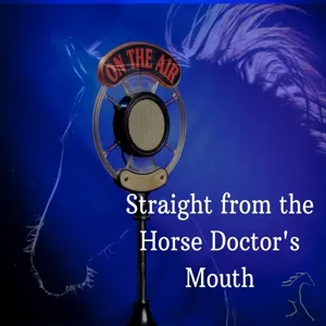 S7E05 Equine Joint Health