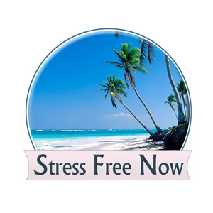 Dr. June Davidson Discusses How to Deal with Holiday Stress