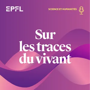 Toute activité laisse une trace