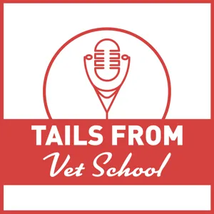 12 - Forging Your Own Path in Veterinary Medicine w/Dr. Heidi Clark, DVM