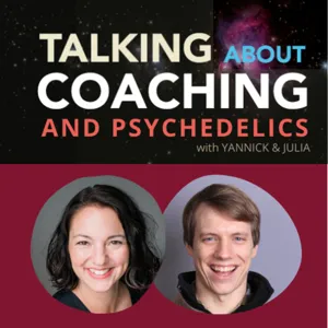 #6 Joe Moore - Co-founder and CEO of Psychedelics Today, Coach & Educator