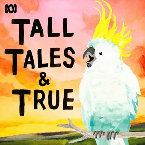 Tracey Spicer â the fainting weathergirl