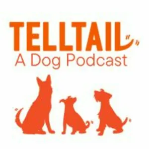 Episode 14: Alphabet Soup: Dog Training Certifications