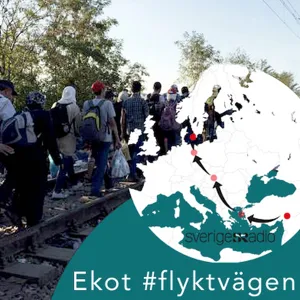 Flyktvägen i God morgon världen: Om opinion och drömlandet Tyskland