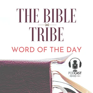 2024 Bible Tribe Ep. #880 Week 7: Navigating Relationships in a Broken World