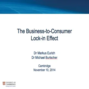 The Business-to-Consumer Lock in Effect