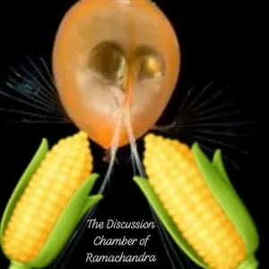 The Discussion Chamber of Ramachandra Sweetcorn