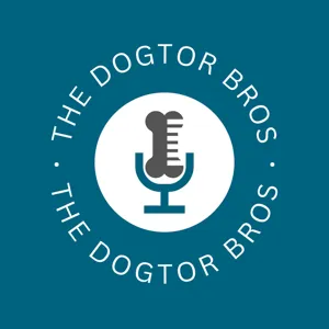 The One About Parenting with Dr. Ashley Bourgeois (The Derm Vet)