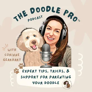 Pt 1: How to Teach a Dog to Come When Called: Interview with Author of The Original Rocket Recall™ & Founder of Cold Nose College Lisa Lyle Waggoner