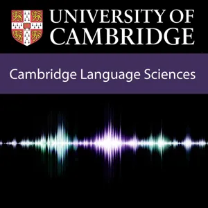 The effect of early language and communication environment on social outcomes for primary school aged children with language difficulties