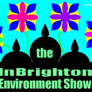 Brighton and Hove Eco Energy