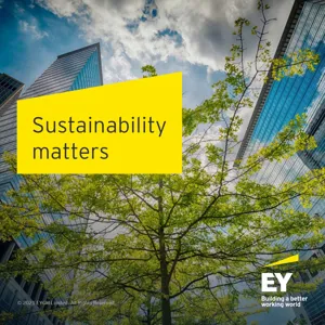 How companies use the SASB standards to improve their ESG metric monitoring and external disclosures