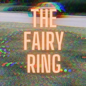 pov: you accidentally fell into a fantasy novel | an ethereal playlist 🧝‍♀️✨