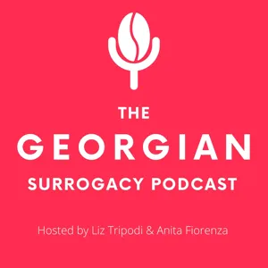 Episode 6: Liz's story, Surrogacy with twins