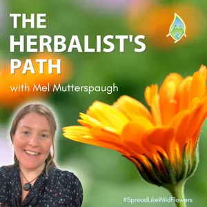 Herbs For Healing The Gut & Saving The World with Megan Brockelbank