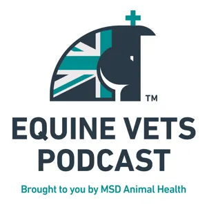 Welcome to The KBHH Equine Vets Podcast, brought to you by MSD Animal Health.