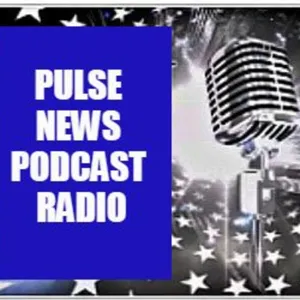 Episode 18: Today's Pulse News Editorial Commentary Podcast Episode With Dave Anthony. The Election Media Mayhem Roundup Update