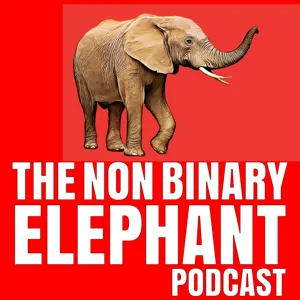 Episode 1 - NBE Podcast - Ivan Pernar