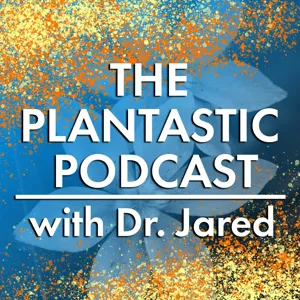 Thomas Rainer on Planting in a Post-wild World (#6)