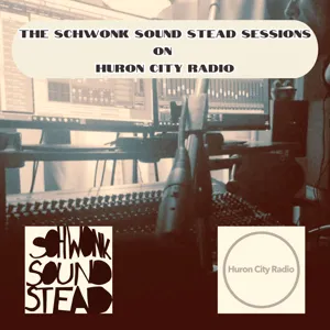 The Schwonk Sound Stead Sessions on Huron City Radio - Episode 1 - Dave Peters