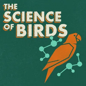 Fascinating Things We Learned About Birds Last Year