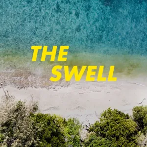 THE SWELL - Haven, surfwinkels en dromen met Filip Van Moerkercke