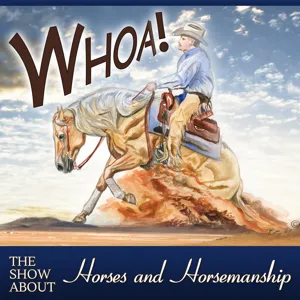 Horse Summit Tackles How Horses Think