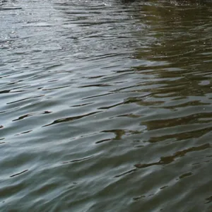 'This Body is Our Body': Viswakarma Puja, the debts of kinship and theologies of materiality in a Neo-Liberal Shipyard on the Hooghly River