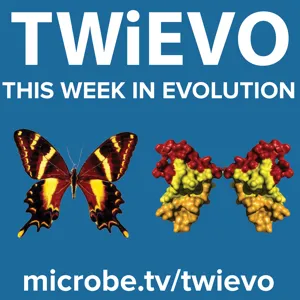 TWiEVO 42: Who's who in your genome