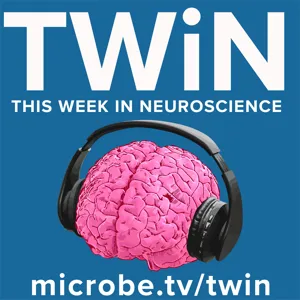 TWiN 44: ADHD and persistent pain