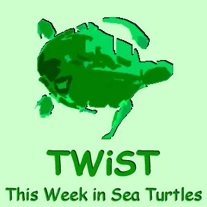 TWiST 1: This Week in Sea Turtles