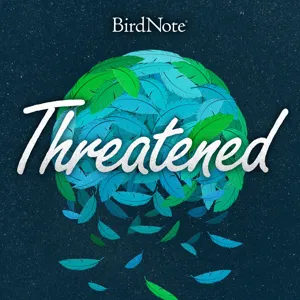 Introducing: The Bring Birds Back Podcast