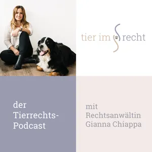 Listenhunde – Teil 2