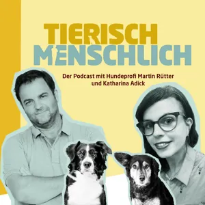 17 - Gefährliche Grannen, Rehkitzrettung & eine Wahlempfehlung vom Hundeprofi