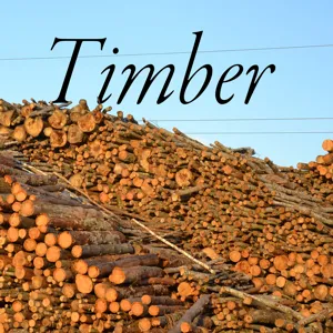 Timber 04-14-11  Show #46