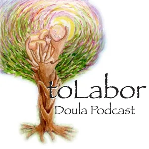 Episode 52 -Preparing Your Client For The Realities of Birth Setting and Healthcare Provider