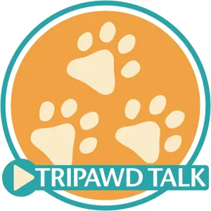 How to Recognize and Manage Arthritis in Tripawd Dogs and Cats