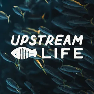 Navigating Our Culture Upstream | Upstream Life Podcast