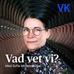 Om vatten och våtmarker