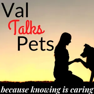 Service, Therapy and Support Animals