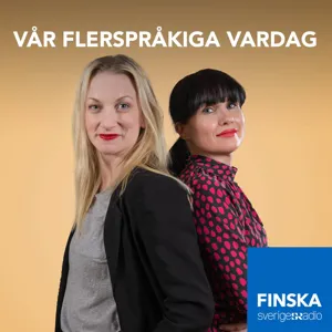 Fina och fula språk – om språkets status