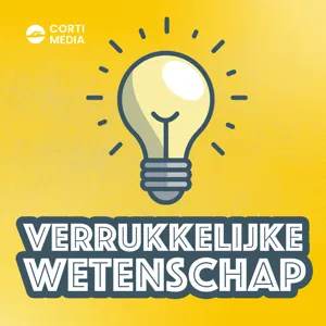 #10: Waarom zijn we zo slecht in kansen inschatten?