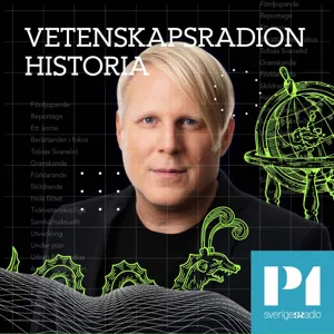 Så formar Sverigedemokraterna historien