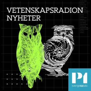 Nyheter från Vetenskapsradion 2024-03-13 kl. 06.34