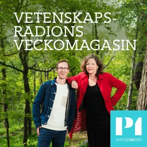 Vetenskapsradions veckomagasin