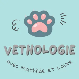 Episode 11 : l'équitation dite éthologique